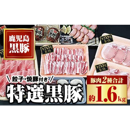 ふるさと納税 鹿児島県 肝付町 B02091 特選黒豚(計約1.6kg) 黒豚焼豚(約200g×2個) 黒豚餃子(12個入×1P)[和田養豚]