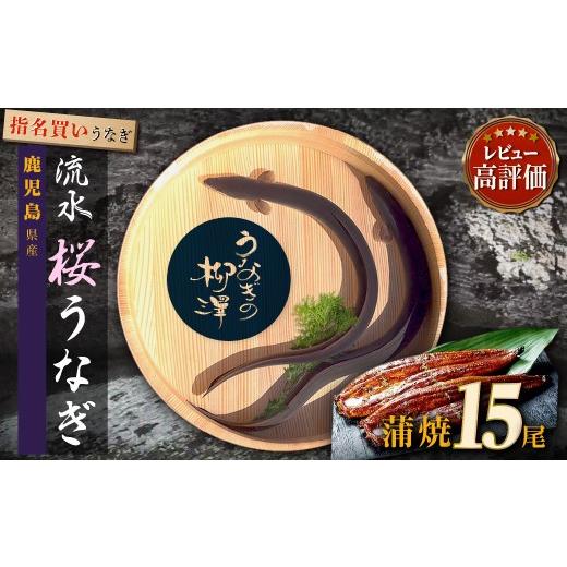 ふるさと納税 ウナギ 鹿児島県 大崎町 ウナギの柳澤 ウナギ蒲焼15尾 計2.55kg 鰻 国産ウナギ蒲焼き うな重 ひつまぶし 鰻 蒲焼 一般受け おすすめ 鹿児島県 大…