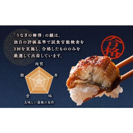ふるさと納税 ウナギ 鹿児島県 大崎町 ウナギの柳澤 ウナギ蒲焼15尾 計2.55kg 鰻 国産ウナギ蒲焼き うな重 ひつまぶし 鰻 蒲焼 一般受け おすすめ 鹿児島県 大…