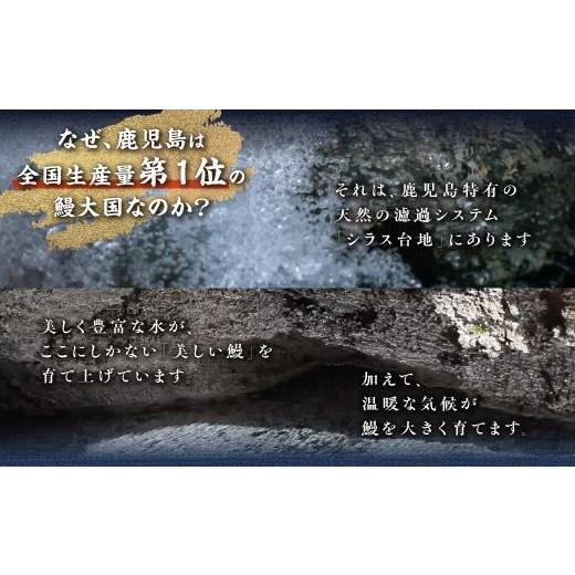 ふるさと納税 ウナギ 鹿児島県 大崎町 ウナギの柳澤 ウナギ蒲焼15尾 計2.55kg 鰻 国産ウナギ蒲焼き うな重 ひつまぶし 鰻 蒲焼 一般受け おすすめ 鹿児島県 大…