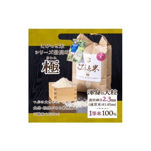 ふるさと納税 山梨県 北杜市 【令和5年度】こぴっと米【極】4kg大粒厳選・１等特別栽培米100％｜furusatochoice｜04