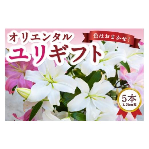 ふるさと納税 花・苗木 花束 福岡県 うきは市 2026年6月お届け 後藤花卉園 オリエンタルユリ ゆり ユリ 百合 花 お花 植物 ギフト 贈り物 プレゼント 鑑賞用 …