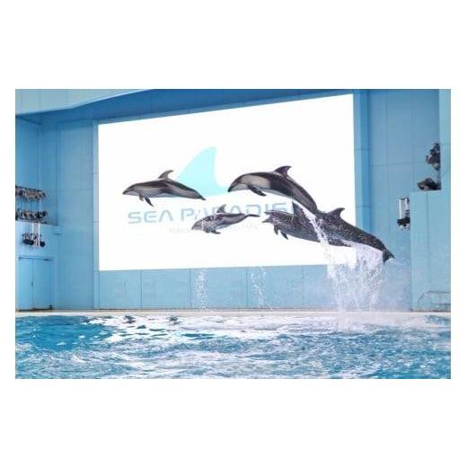 ふるさと納税 神奈川県 横浜市 横浜・八景島シーパラダイス　ワンデーパス（水族館4施設＋アトラクション）大人2名さま｜furusatochoice｜02