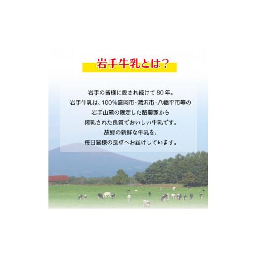 ふるさと納税 岩手県 滝沢市 岩手牛乳ヨーグルト「モッチ」（プレーン １袋550g×４）【株式会社岩手牛乳】 ／ ヨーグルト 岩手 2200g パウチ｜furusatochoice｜08