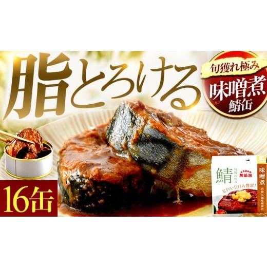 ふるさと納税 缶詰・瓶詰 魚貝類 福井県 小浜市 旬獲れ極み鯖味噌煮缶詰 16缶| サバ缶 鯖缶 さば缶 鯖 サバ さば 缶詰 サバ缶詰 鯖缶詰 缶 詰合せ 詰め合せ …