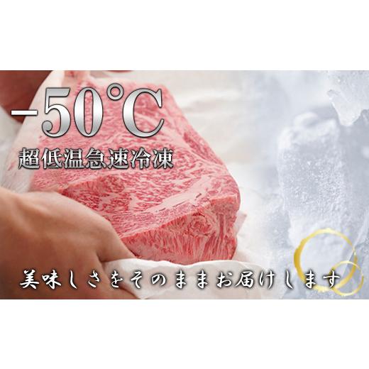 牛肉 兵庫県 淡路市  6ヶ月コース 淡路牛切り落とし1.2Kg（300g×4パック）定期便 【倍】