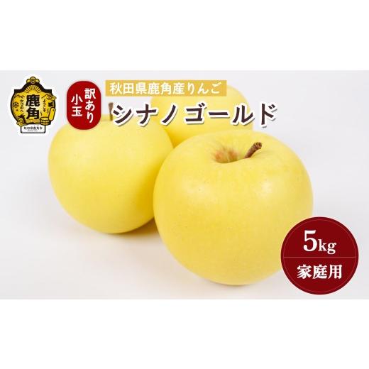 ふるさと納税 りんご 秋田県 鹿角市 秋田県鹿角産りんご 雪国育ちの 訳あり「シナノゴールド」 家庭用 小玉 5kg(18〜23玉入) 山麓園 鹿角りんご 家庭用 食感…