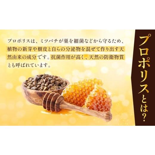 ふるさと納税 加工品等 はちみつ 岡山県 備前市 令和7年採取 純粋蜂蜜 液体 プロポリス30ccの画像