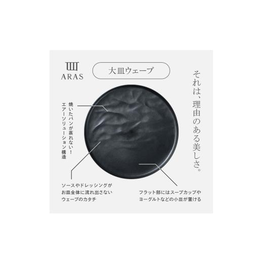 ふるさと納税 食器・グラス 皿 石川県 加賀市 ARAS 大皿ウェーブ 27cm カラー：グレー プレート 割れない 保証付き ARAS エイラス 色が選べる 皿 食器 うつわ …の画像