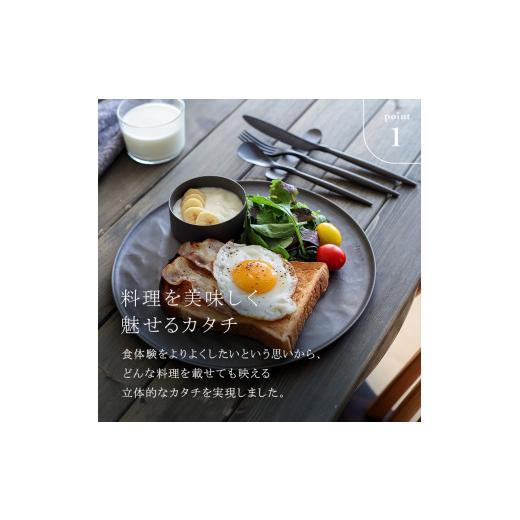 ふるさと納税 食器・グラス 皿 石川県 加賀市 ARAS 大皿ウェーブ 27cm カラー：グレー プレート 割れない 保証付き ARAS エイラス 色が選べる 皿 食器 うつわ …の画像