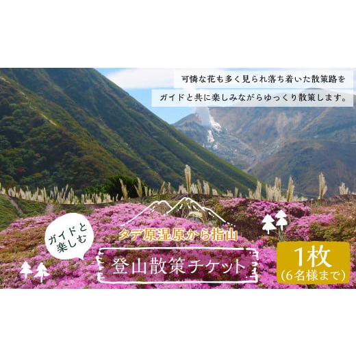 ふるさと納税 体験チケット 大分県 九重町 ガイドと楽しむタデ原湿原から指山 登山散策チケット 1枚6名様まで