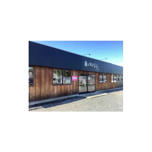 ふるさと納税 雑貨・日装具 花 栃木県 宇都宮市 夢見鳥蘭大輪 金剛石はやりっ子 3本立ち 41〜42輪位置付け 送りとどける不可領域あり