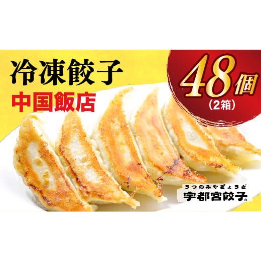 ふるさと納税 栃木県 宇都宮市 [中国飯店] 餃子24個入り×2箱[配送不可地域:離島]