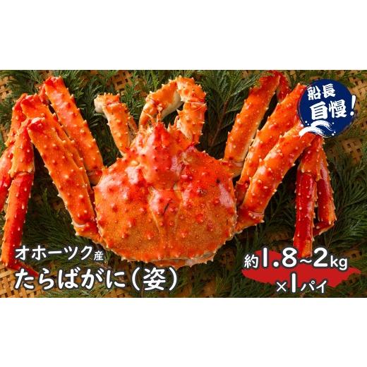 ふるさと納税 カニ タラバガニ 北海道 北見市 予約:2026年12月から順次発送 オホーツク産 たらばがに 姿 1.8kg〜2.0kg 冷凍 ( たらば タラバ カニ かに 蟹 …