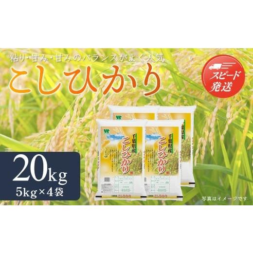 ふるさと納税 米 コシヒカリ 千葉県 大網白里市 最短2〜7営業日出荷 令和7年産 千葉県産「コシヒカリ」20kg(5kg×4袋) ふるさと納税 米 20kg コシヒカリ 千…