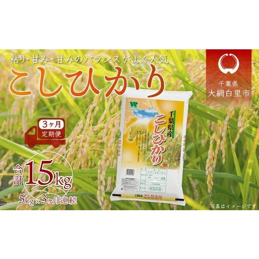 ふるさと納税 米 コシヒカリ 千葉県 大網白里市 3ヶ月定期便 令和7年産 