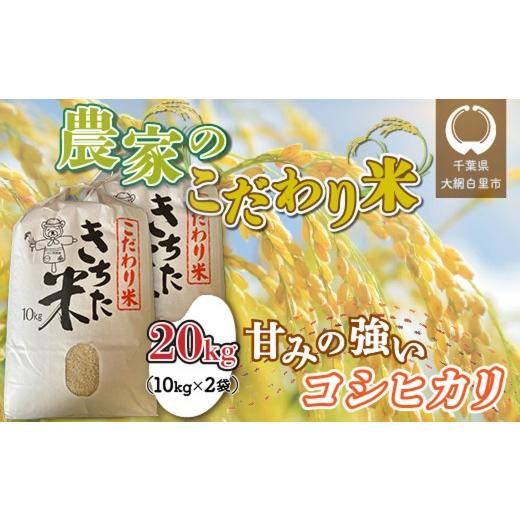 ふるさと納税 米 コシヒカリ 千葉県 大網白里市 令和7年産 千葉県 大網白里市産 こだわり米(コシヒカリ)20kg(10kg×2袋)J006 お米 20kg 千葉県産 大網白…