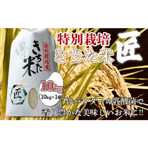 ふるさと納税 米 コシヒカリ 千葉県 大網白里市 千葉県 大網白里市産 きちた米『匠(たくみ)』 (特別栽培米 コシヒカリ)10kg(10kg×1袋)J007 特別栽培米 お…
