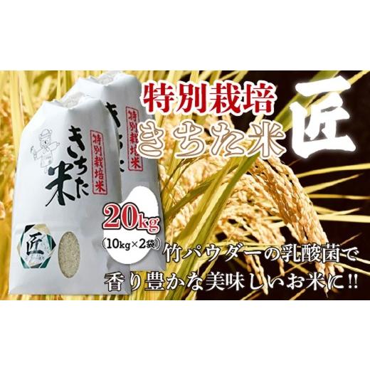 ふるさと納税 米 コシヒカリ 千葉県 大網白里市 千葉県 大網白里市産 きちた米『匠(たくみ)』 (特別栽培米 コシヒカリ)20kg(10kg×2袋)J009 特別栽培米 お…