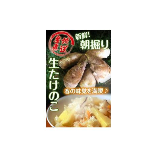 ふるさと納税 野菜類 山菜 和歌山県 和歌山市 たけのこ 和歌山県産 朝堀り筍 約2kg ぬか付き