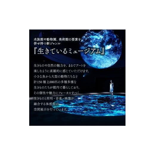 ふるさと納税 大阪府 吹田市 ニフレル入館券『大人ペアチケット＋500円カフェクーポン3枚』【大阪府吹田市】｜furusatochoice｜05