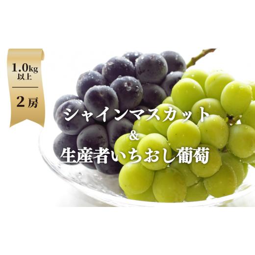 ふるさと納税 ぶどう マスカット 岡山県 真庭市 2026年先行予約 シャインマスカット&生産者いちおし葡萄 2房/計1.0kg~ (岡山県産)