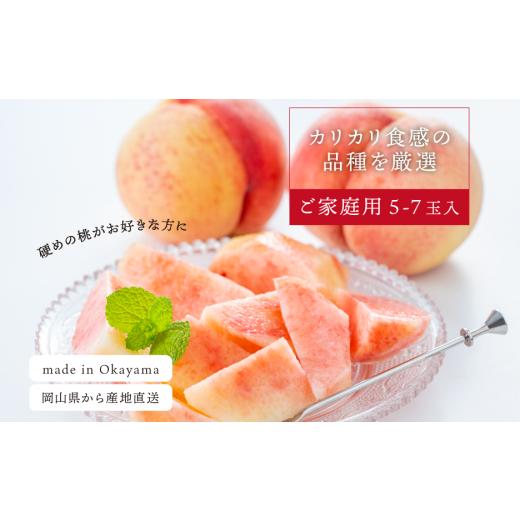 ふるさと納税 もも 岡山県 真庭市 2026年先行予約 硬め桃 ご家庭用 5-7玉入 (岡山県産)