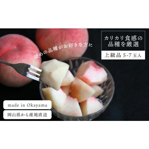 ふるさと納税 もも 岡山県 真庭市 2026年先行予約 硬め桃 上級品 5-7玉入 (岡山県産)