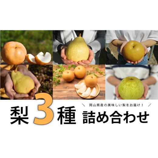 ふるさと納税 岡山県 真庭市 KF-C016[きよとう]梨好きのための、ご家庭用梨3種食べ比べセット