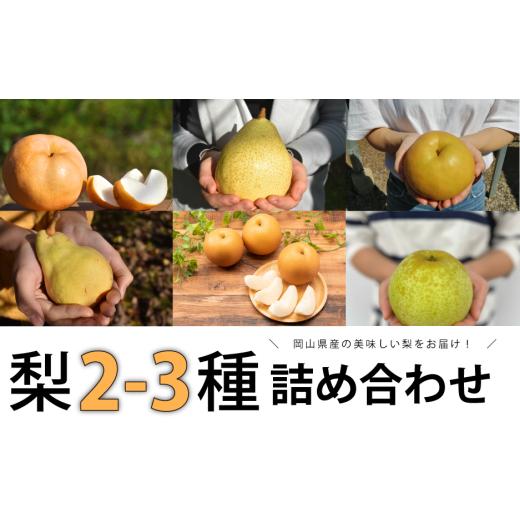 ふるさと納税 梨 岡山県 真庭市 きよとうファーム 梨好きのための、梨2〜3種食べ比べ ご家庭用 5-7玉 (岡山県産)