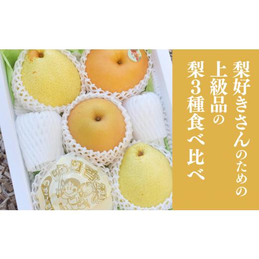 ふるさと納税 岡山県 真庭市 KF-C014[きよとう]梨好きに贈る、梨3種詰め合わせ(上級品)