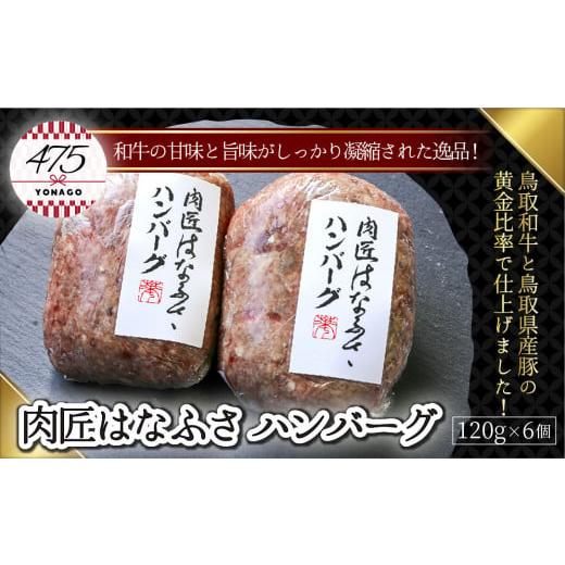 ふるさと納税 鳥取県 米子市 肉匠はなふさ ハンバーグ 120g×6個