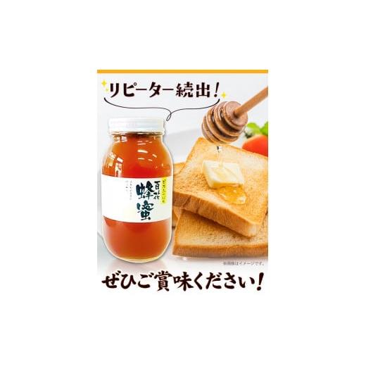 ふるさと納税 加工品等 はちみつ 徳島県 美馬市 日本みつばち 百花はちみつ 1200g 《30日以内に出荷予定(土日祝除く)》株式会社アグリサポート美馬 徳島県 美…の画像