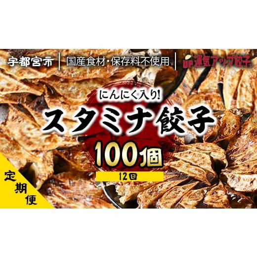 ふるさと納税 栃木県 宇都宮市 『定期便』宇都宮餃子 ニンニクマシマシスタミナ餃子100個 保存料不使用 全12回[配送不可地域:離島]