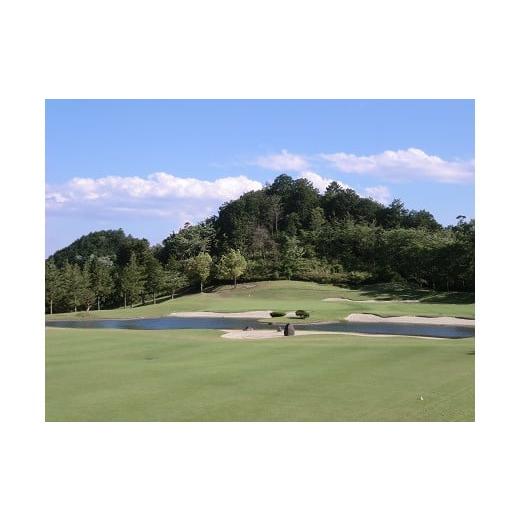 【新品 未使用 日本製】 ふるさと納税 埼玉県 ときがわ町 さいたま梨花カントリークラブ利用券（30，000円分） 【1249085340】(44000円)