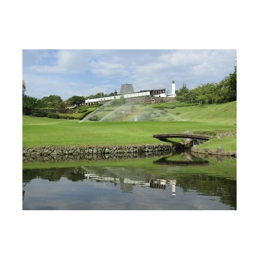 【新品 未使用 日本製】 ふるさと納税 埼玉県 ときがわ町 さいたま梨花カントリークラブ利用券（30，000円分） 【1249085340】(44000円)