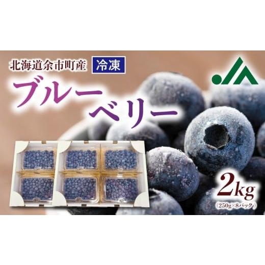 ふるさと納税 果物類 北海道 余市町 冷凍ブルーベリー 250g×4パック×2箱 北海道産 甘くてジューシー 余市産 ブルーベリー 250g × 4パック × 2箱 合計 2kg…