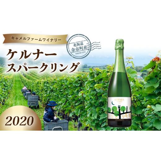ふるさと納税 ワイン スパークリングワイン 北海道 余市町 ケルナースパークリング2020 キャメルファームワイナリー