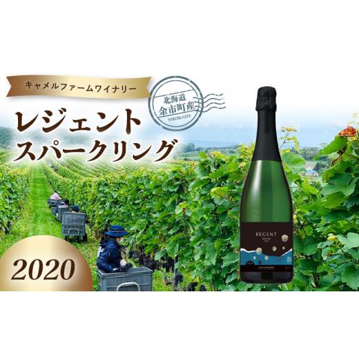 ふるさと納税 ワイン スパークリングワイン 北海道 余市町 レジェントスパークリング2020 キャメルファームワイナリー