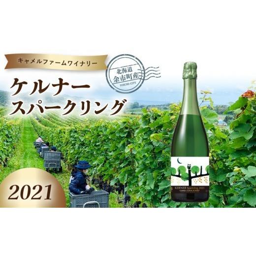 ふるさと納税 ワイン スパークリングワイン 北海道 余市町 ケルナースパークリング2021 キャメルファーム 750ml