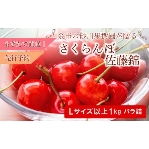 ふるさと納税 北海道 余市町 [先行予約]もぎたて直送 さくらんぼ 佐藤錦 1kg箱(北海道余市町産)