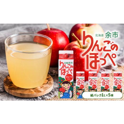 ふるさと納税 果汁飲料 りんご 北海道 余市町 りんごの産地 北海道産 りんご ジュース アップルジュース りんごのほっぺ 1L × 5本 果汁100% ストレート 紙パ…