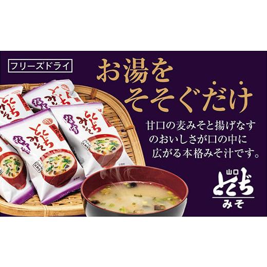 ふるさと納税 加工品等 山口県 山口市 D109 とくぢ味噌フリーズドライみそ汁(なす)30ヶ入