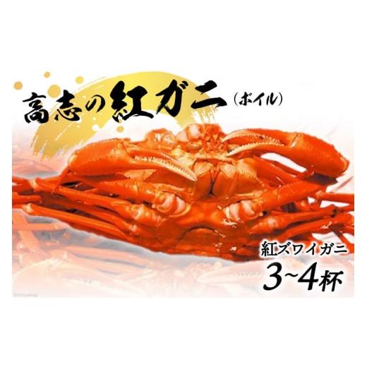 ふるさと納税 カニ ずわいガニ 富山県 黒部市   紅 ズワイガニ ボイル「高志の紅ガニ」3〜4杯[10月前半〜5月後半お届け]カニ 蟹 期間限定 冷蔵…