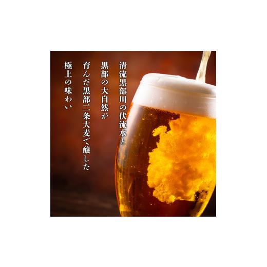 ふるさと納税 ビール 地ビール 富山県 黒部市  No.5313-0062 ビール ふるさと定期便 宇奈月ビール6缶セット×4回（4か月連続発送）／地ビール クラフトビール…の画像
