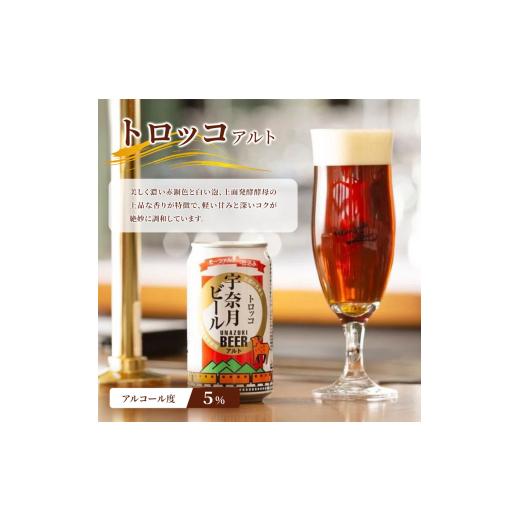 ふるさと納税 ビール 地ビール 富山県 黒部市  No.5313-0062 ビール ふるさと定期便 宇奈月ビール6缶セット×4回（4か月連続発送）／地ビール クラフトビール…の画像