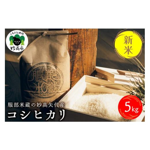 ふるさと納税 米 コシヒカリ 新潟県 妙高市 令和7年産 服部米蔵の妙高矢代産コシヒカリ5kg