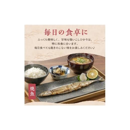 ふるさと納税 米 コシヒカリ 新潟県 妙高市  2026年5月上旬より発送 定期便 令和7年産 新潟県妙高産コシヒカリ10kg(5kg×2袋)×2回（計20kg） 2026年5月上旬よ…の画像