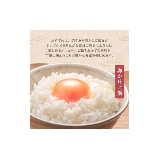 ふるさと納税 米 コシヒカリ 新潟県 妙高市  2026年5月上旬より発送 定期便 令和7年産 新潟県妙高産コシヒカリ10kg(5kg×2袋)×2回（計20kg） 2026年5月上旬よ…の画像