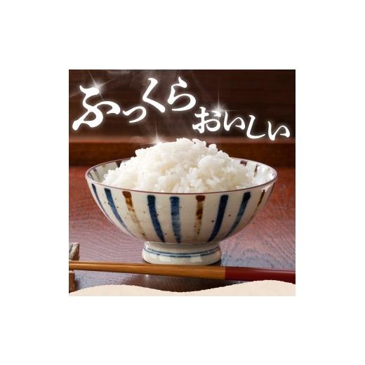 ふるさと納税 米 コシヒカリ 新潟県 妙高市  2026年7月下旬より発送 定期便 令和7年産 新潟県妙高産コシヒカリ10kg(5kg×2袋)×2回（計20kg） 2026年7月下旬よ…_6